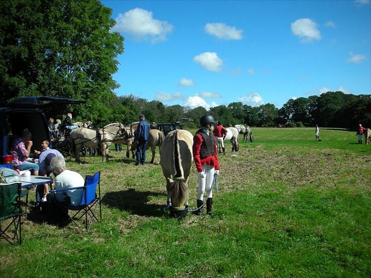 Jagt på Espe gods - Jagt på Espe gods:) billede 9