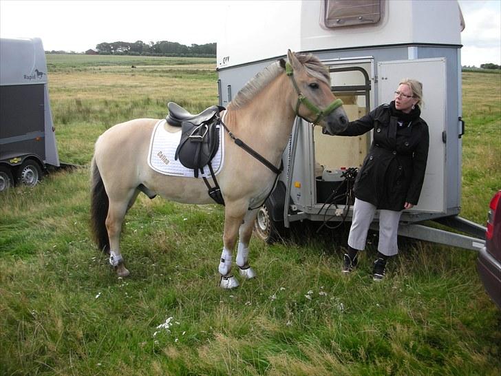 Jagt på Espe gods - Jagt på Espe gods:) billede 10