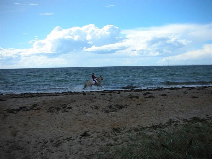 Jagt på Espe gods - Jagt på Espe gods:) billede 11