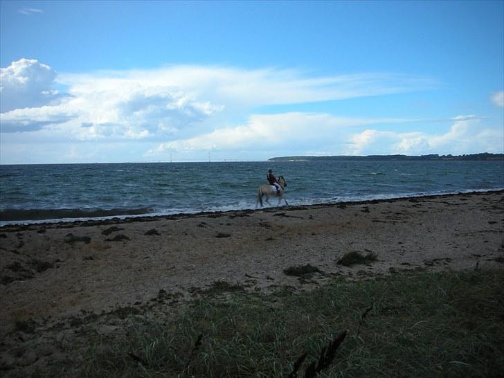 Jagt på Espe gods - Jagt på Espe gods:) billede 12