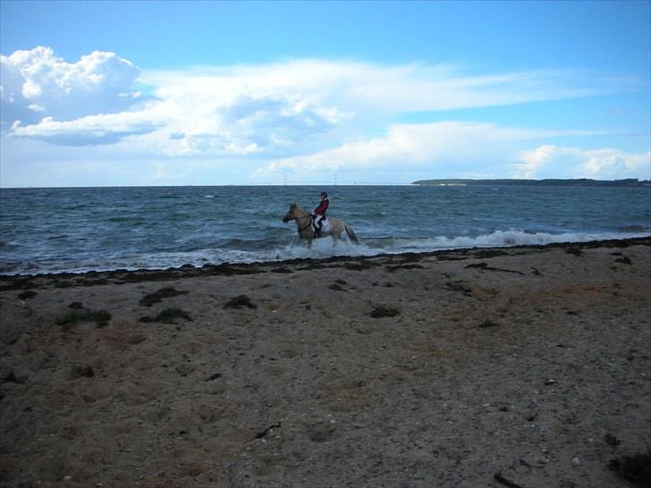 Jagt på Espe gods - Vi var lige en tur i vandet :D billede 13