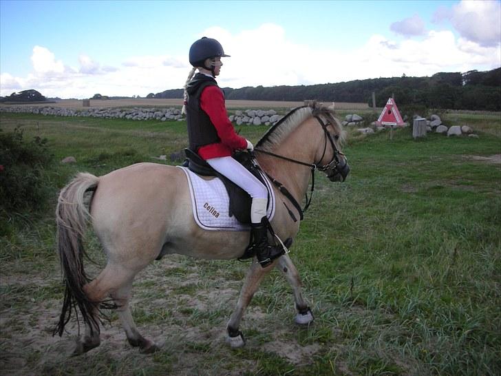 Jagt på Espe gods - Jagt på Espe gods :D billede 14