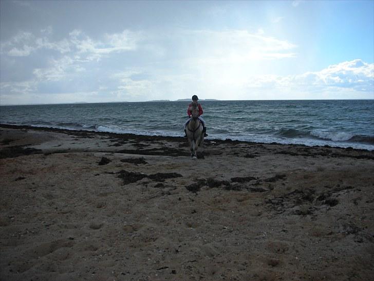 Jagt på Espe gods - Vi var lige en tur i vandet :D billede 15