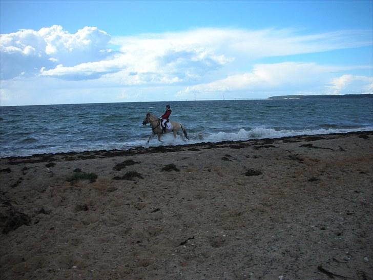 Jagt på Espe gods - Vi var lige en tur i vandet :D billede 16