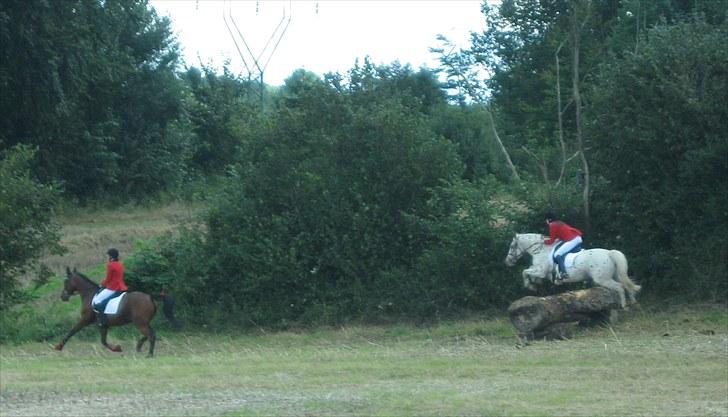 Jagt i Tommerup  + tærren billeder - Jagt i tommerup
taget med mit kamera der synger på det sidste, derfor de slørede billeder billede 2
