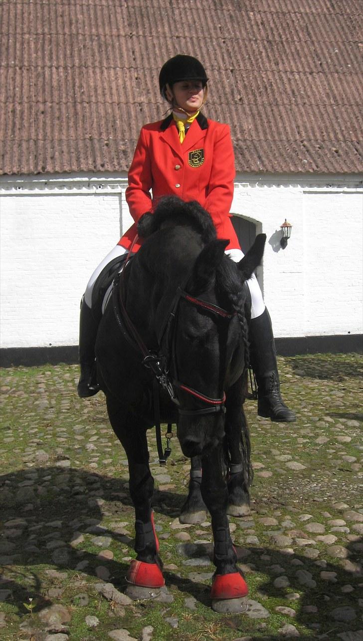 Jagt i Tommerup  + tærren billeder - Jagt i tommerup
taget med mit kamera der synger på det sidste, derfor de slørede billeder billede 3