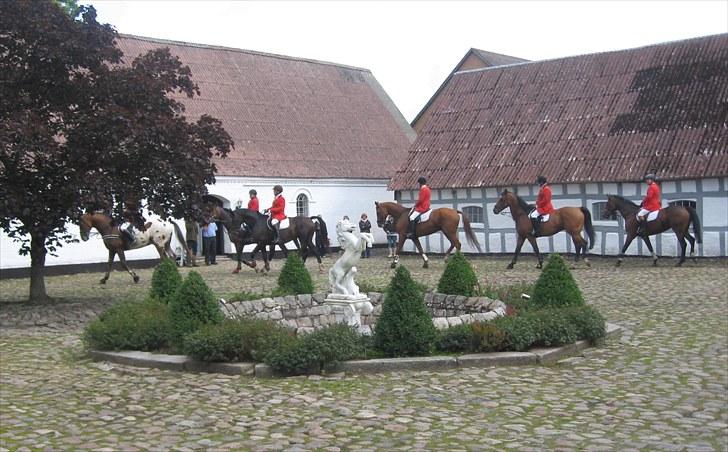 Jagt i Tommerup  + tærren billeder - Jagt i tommerup
taget med mit kamera der synger på det sidste, derfor de slørede billeder billede 7