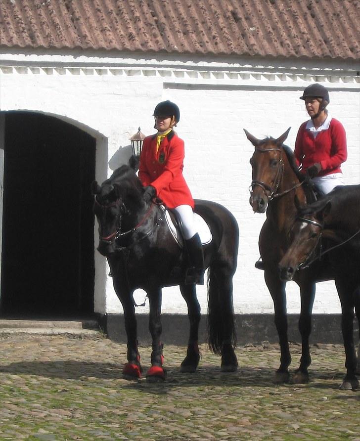 Jagt i Tommerup  + tærren billeder - Jagt i tommerup
taget med mit kamera der synger på det sidste, derfor de slørede billeder billede 10