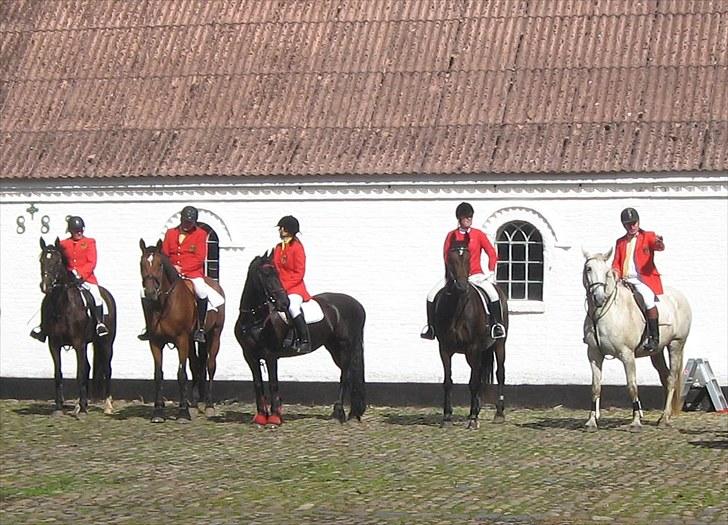 Jagt i Tommerup  + tærren billeder - Jagt i tommerup
taget med mit kamera der synger på det sidste, derfor de slørede billeder billede 11