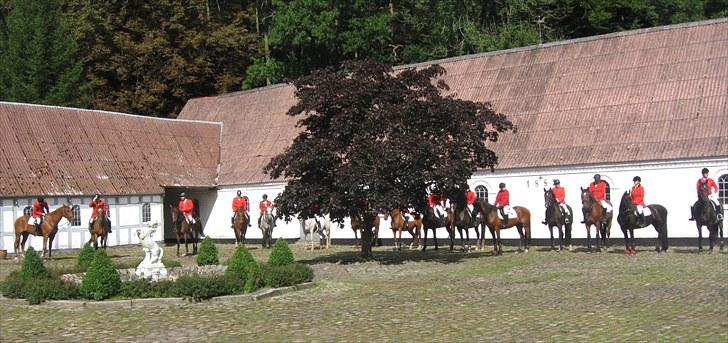Jagt i Tommerup  + tærren billeder - Jagt i tommerup
taget med mit kamera der synger på det sidste, derfor de slørede billeder billede 12