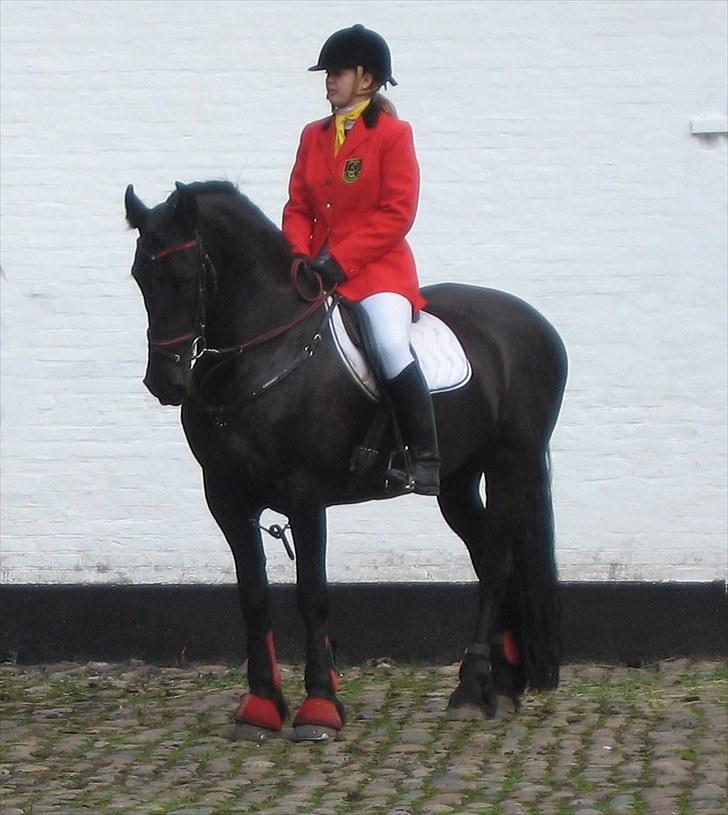 Jagt i Tommerup  + tærren billeder - Jagt i tommerup
taget med mit kamera der synger på det sidste, derfor de slørede billeder billede 13