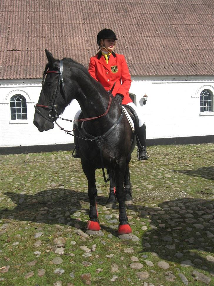 Jagt i Tommerup  + tærren billeder billede 14