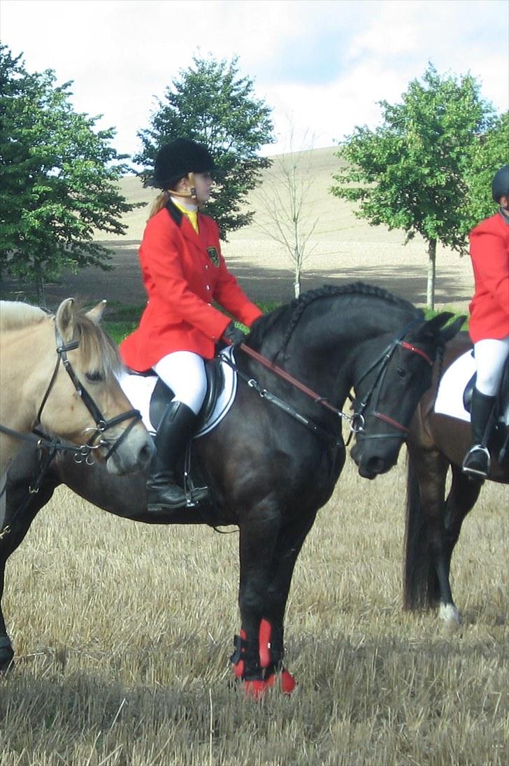 Jagt i Tommerup  + tærren billeder - Jagt i tommerup
taget med mit kamera der synger på det sidste, derfor de slørede billeder billede 16