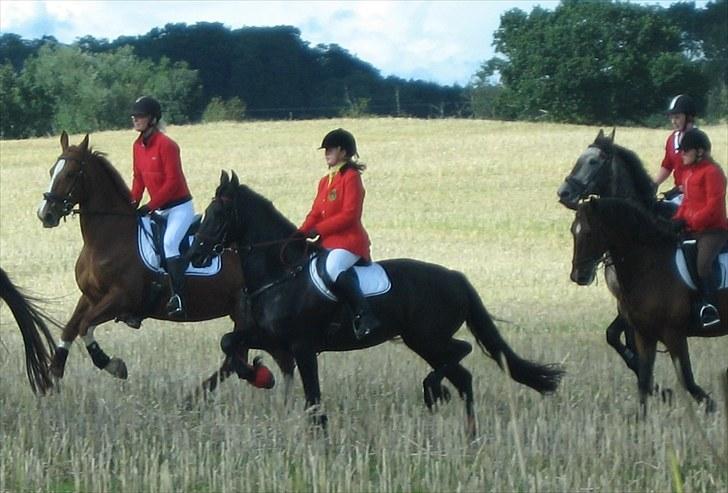 Jagt i Tommerup  + tærren billeder - Jagt i tommerup
taget med mit kamera der synger på det sidste, derfor de slørede billeder billede 18