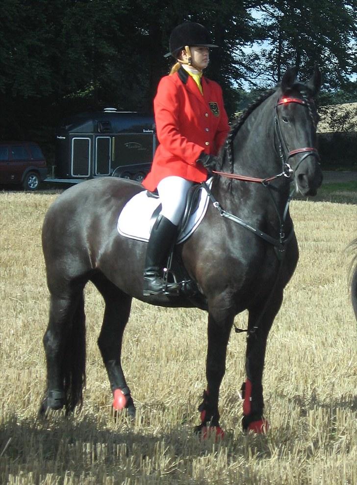 Jagt i Tommerup  + tærren billeder - Jagt i tommerup
taget med mit kamera der synger på det sidste, derfor de slørede billeder billede 1