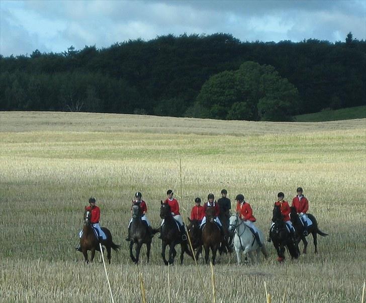 Jagt i Tommerup  + tærren billeder - Jagt i tommerup
taget med mit kamera der synger på det sidste, derfor de slørede billeder billede 19