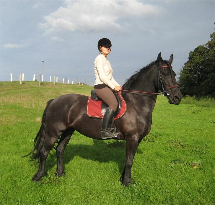 Jagt i Tommerup  + tærren billeder - Gemke ude og lege lidt, med sofia på ryggen billede 20