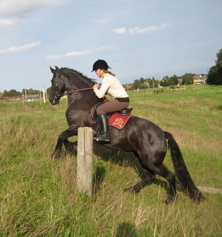 Jagt i Tommerup  + tærren billeder billede 23