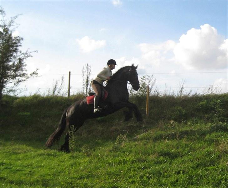 Jagt i Tommerup  + tærren billeder billede 24