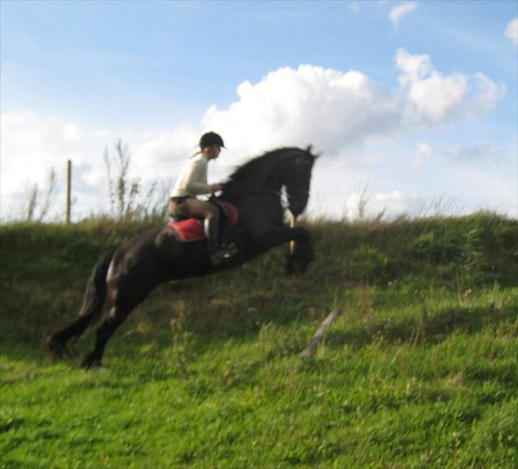 Jagt i Tommerup  + tærren billeder billede 25