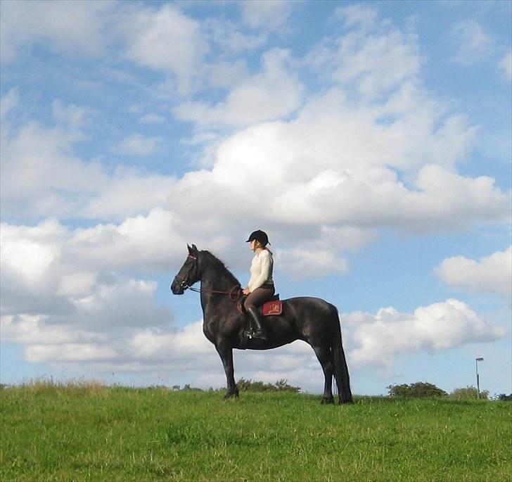 Jagt i Tommerup  + tærren billeder billede 26