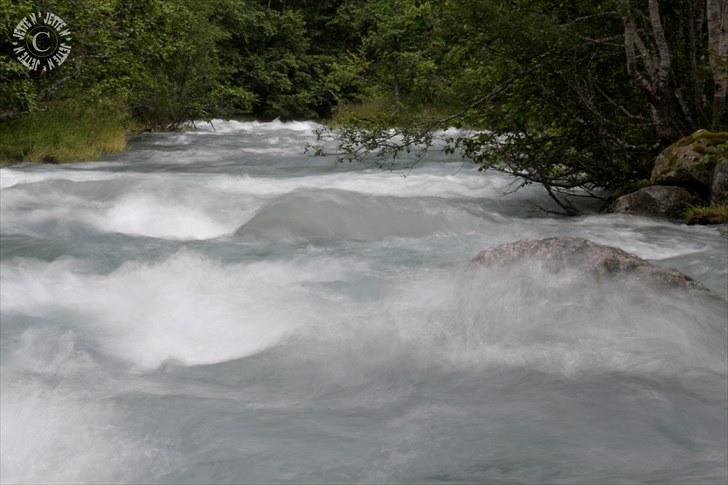 Norge 2010 - Ved Supphellabreen billede 36