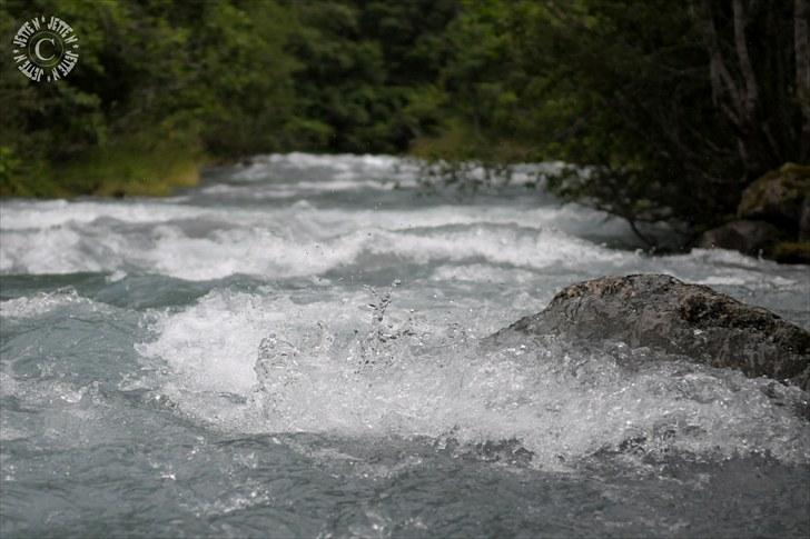 Norge 2010 - Ved Supphellabreen billede 37