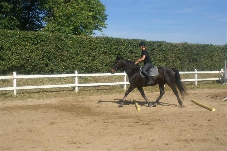 Ridelejr, BBH :D:D - Ridning billede 2