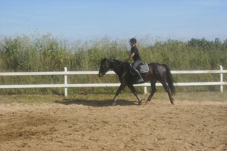 Ridelejr, BBH :D:D - Ridning billede 3