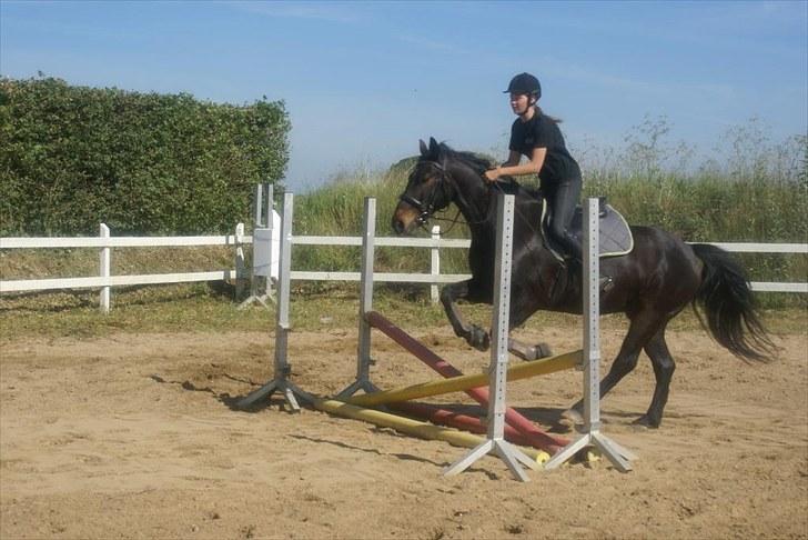 Ridelejr, BBH :D:D - Ridning billede 4