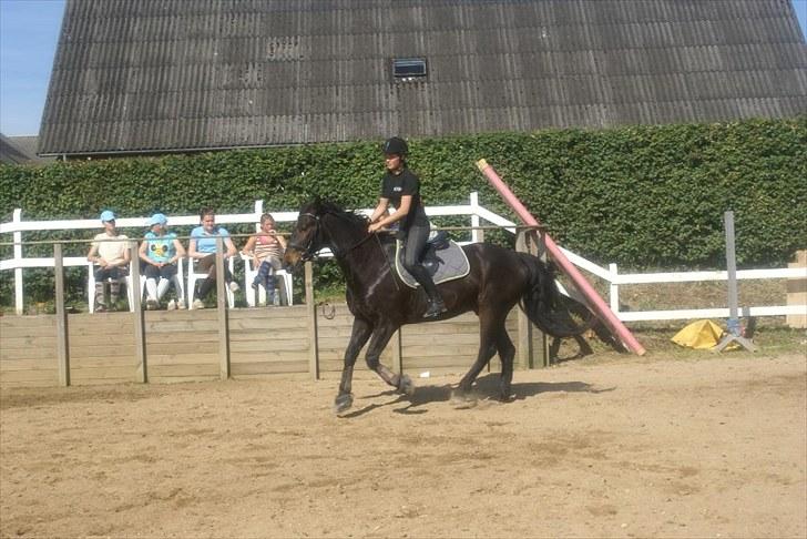 Ridelejr, BBH :D:D - Ridning billede 5