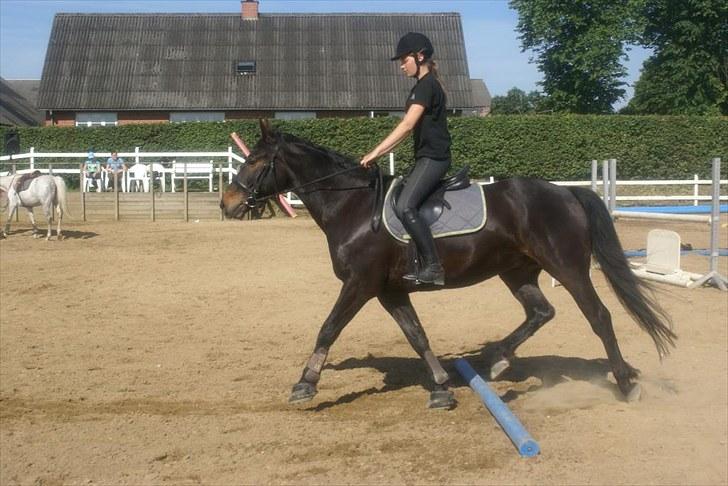 Ridelejr, BBH :D:D - Ridning billede 6