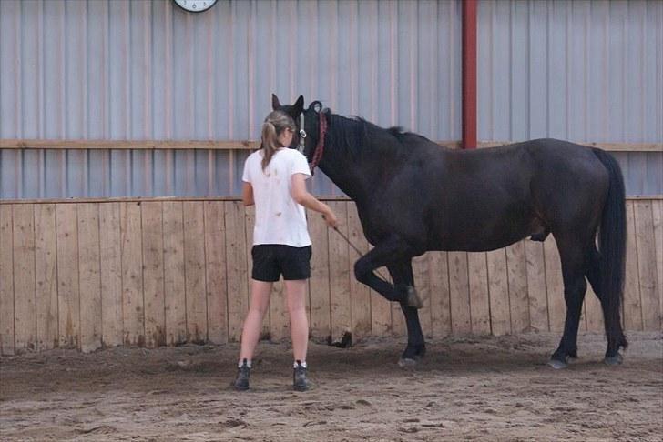 Ridelejr, BBH :D:D - Øver spanske skridt.. billede 1