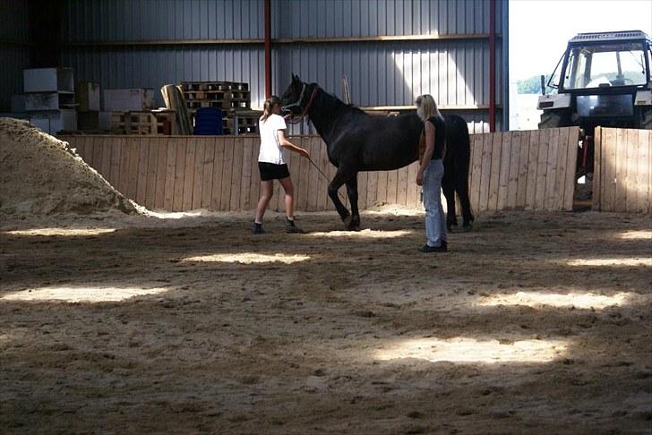 Ridelejr, BBH :D:D - Ute Lehman hjælper.. billede 10