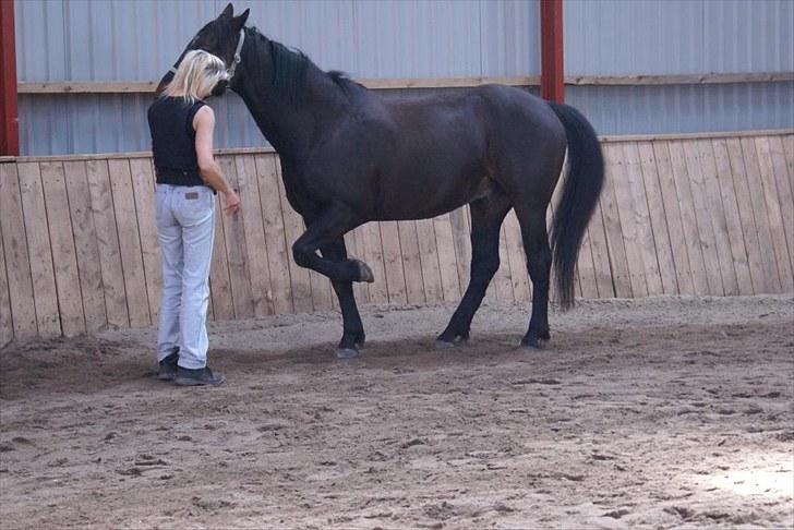 Ridelejr, BBH :D:D - Øvelse til spanske skridt med Ute.. billede 11