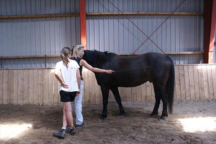 Ridelejr, BBH :D:D - Ute forklarer noget, med at jeg skal være mere energisk ;) billede 12