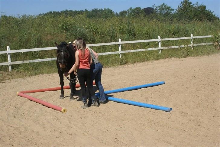 Ridelejr, BBH :D:D - Jordtræning med Susan ;) billede 17