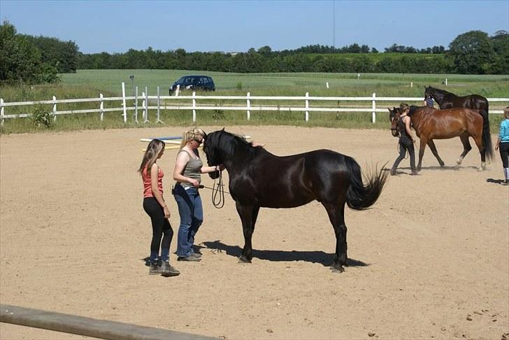 Ridelejr, BBH :D:D - Jordtræning med Susan ;) billede 18