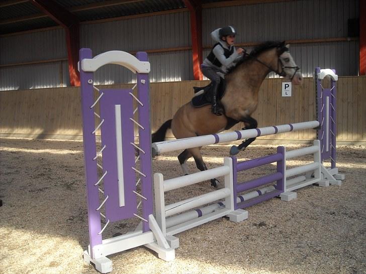 Trænings weekend på Vester Mølle  billede 2