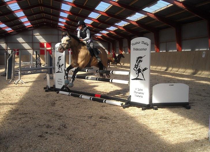 Trænings weekend på Vester Mølle  billede 3