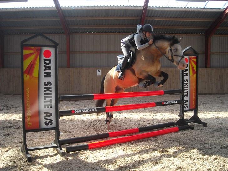 Trænings weekend på Vester Mølle  billede 4