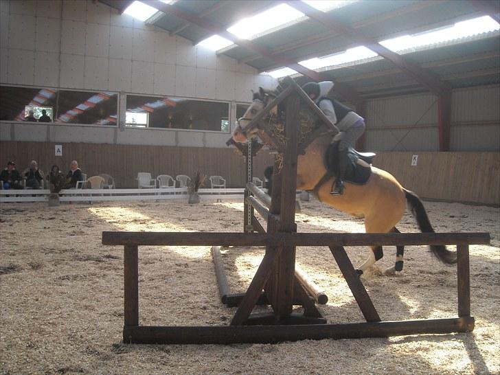 Trænings weekend på Vester Mølle  billede 5