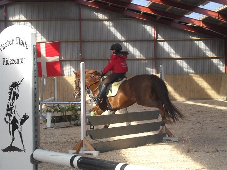 Trænings weekend på Vester Mølle  billede 6