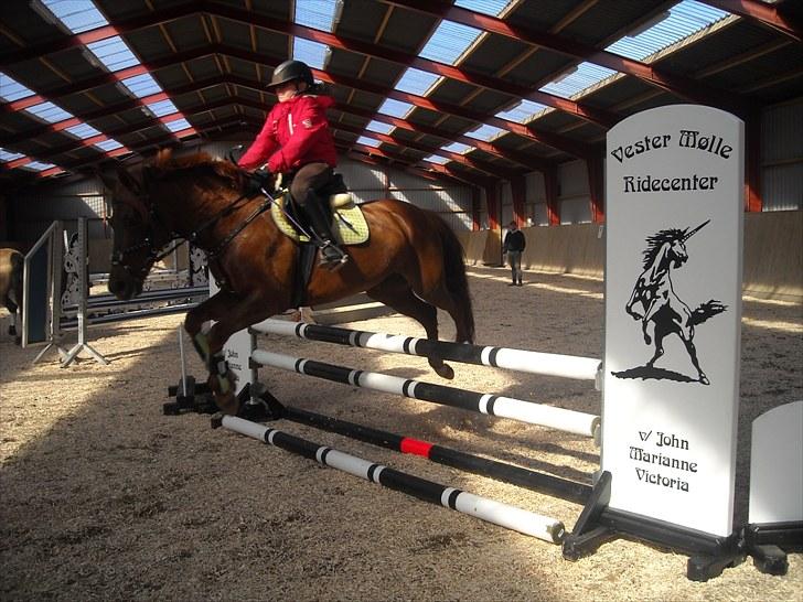 Trænings weekend på Vester Mølle  billede 7