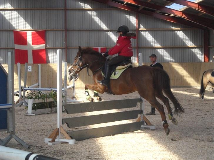 Trænings weekend på Vester Mølle  billede 8