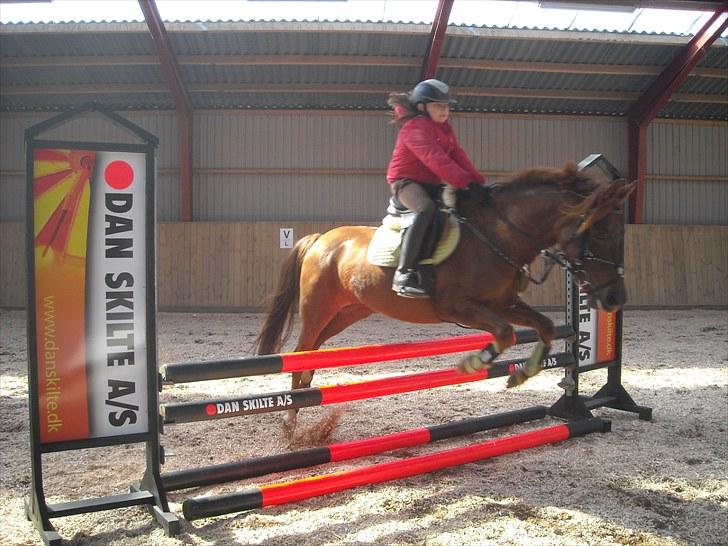 Trænings weekend på Vester Mølle  billede 9