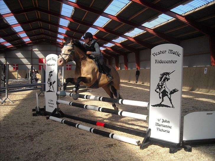 Trænings weekend på Vester Mølle  billede 10