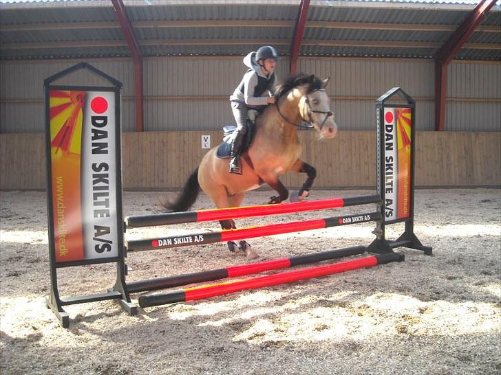 Trænings weekend på Vester Mølle  billede 11