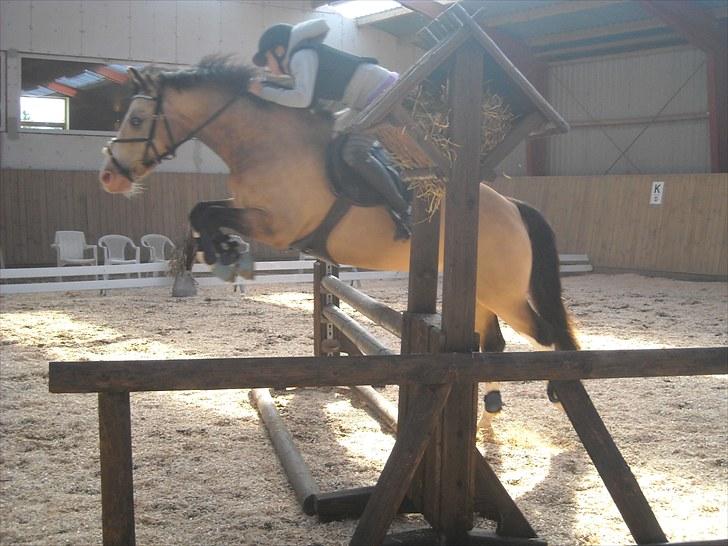 Trænings weekend på Vester Mølle  billede 12