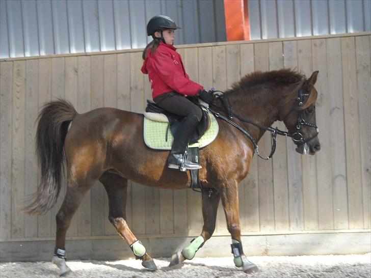 Trænings weekend på Vester Mølle  billede 13